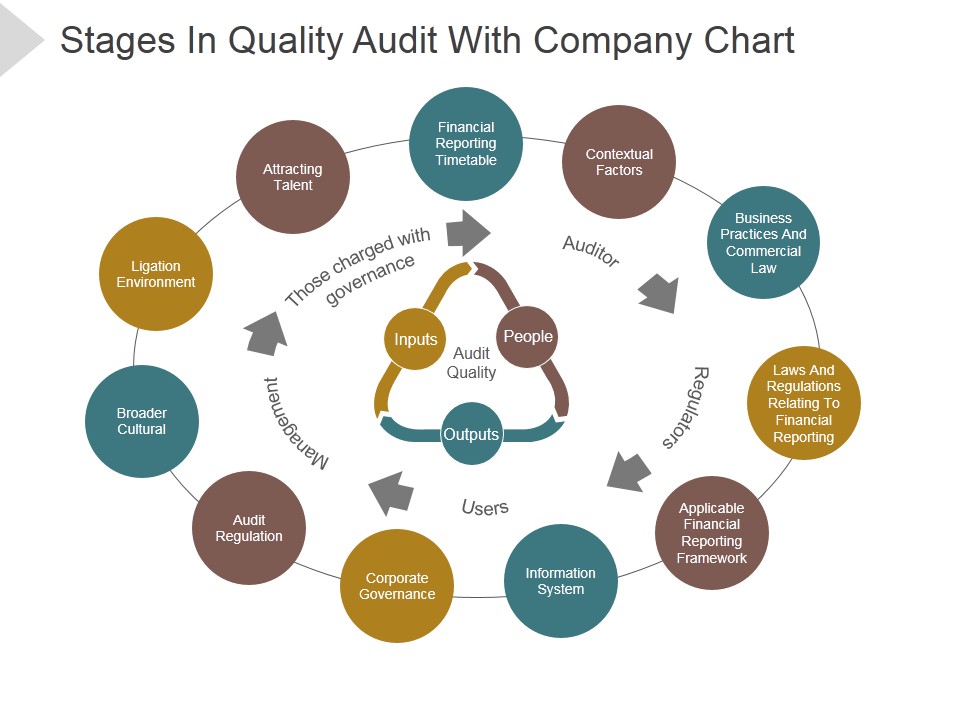 Stages In Quality Audit With Company Chart Ppt PowerPoint Presentation Files