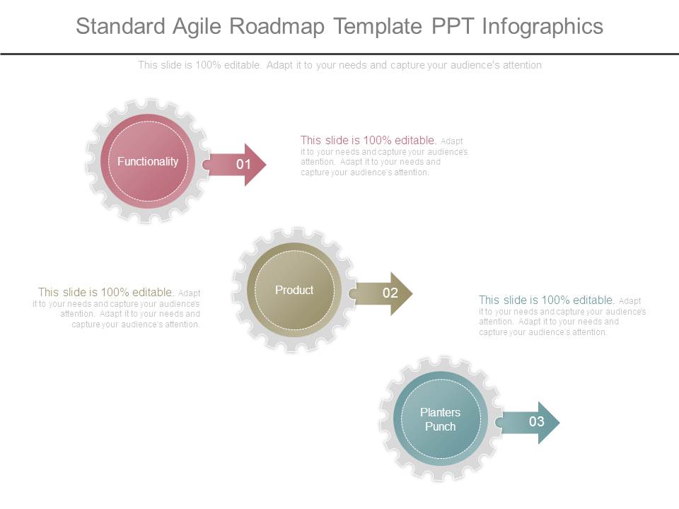 Standard Agile Roadmap Template Ppt Infographics