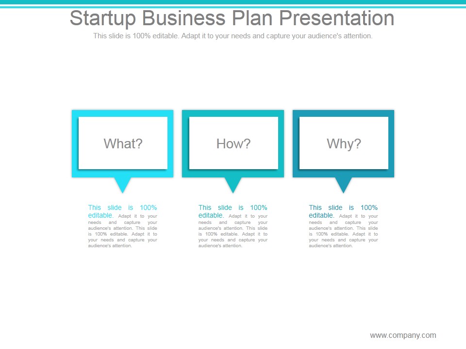 Startup Business Plan Ppt PowerPoint Presentation Portfolio