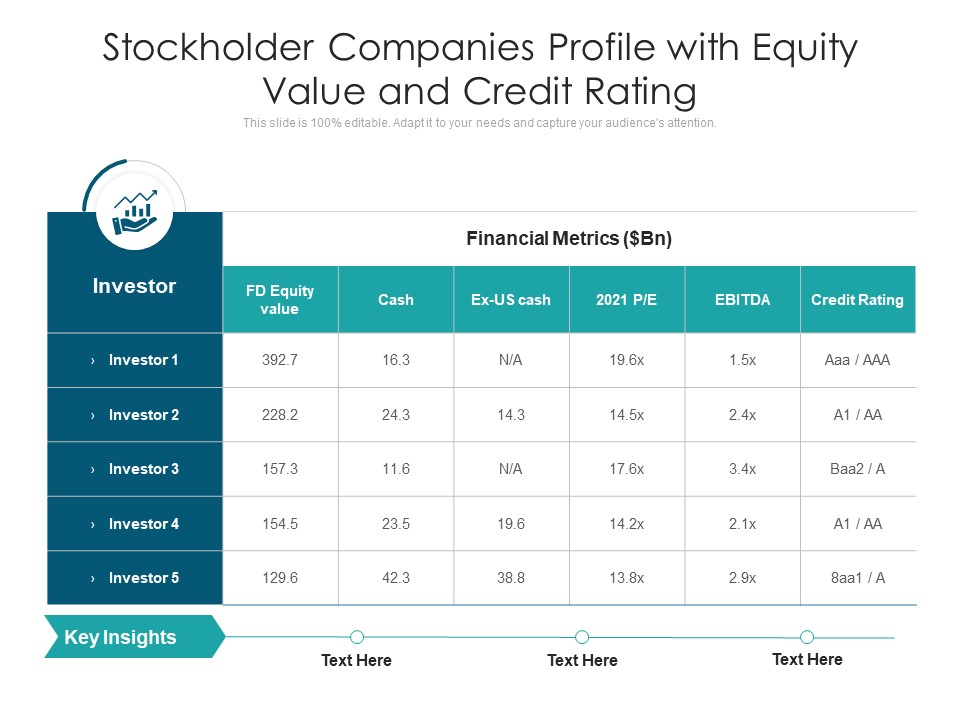 Stockholder Companies Profile With Equity Value And Credit Rating Ppt PowerPoint Presentation Gallery Layout PDF