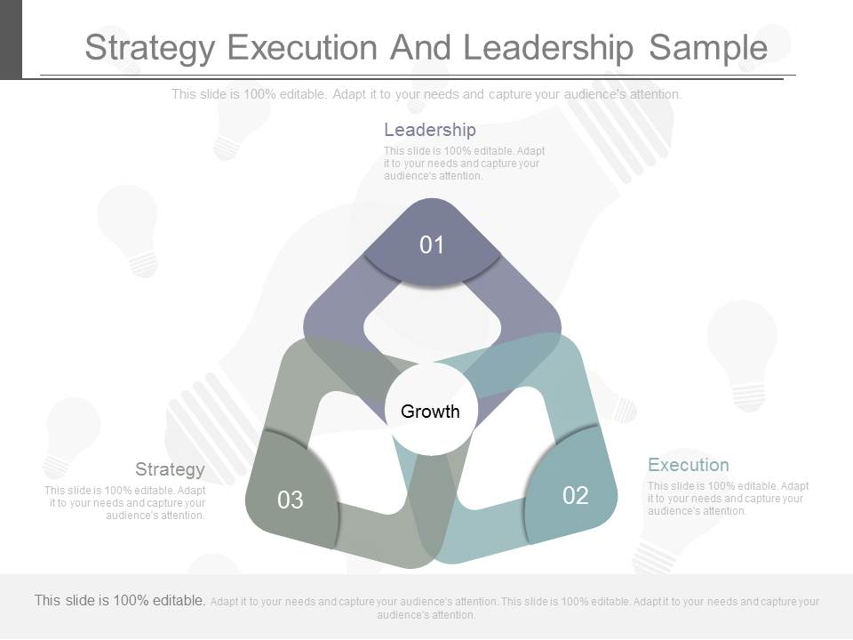Strategy Execution And Leadership Sample
