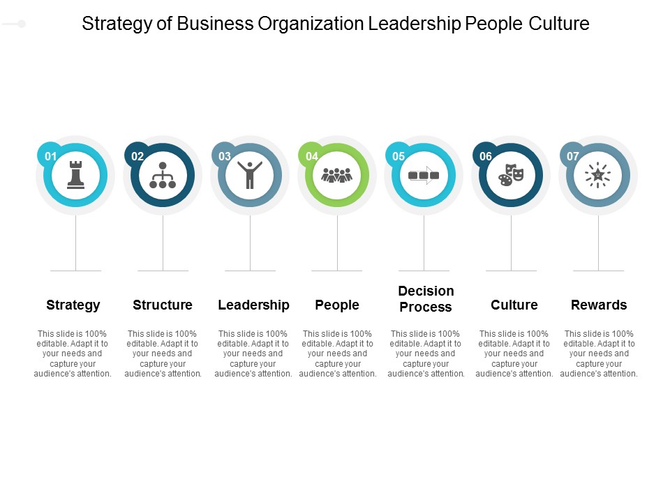 Strategy Of Business Organization Leadership People Culture Ppt PowerPoint Presentation Infographic Template Icons
