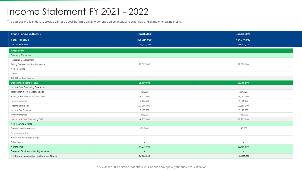 Strawman Project Action Plan Income Statement Fy 2021 To 2022 Diagrams PDF