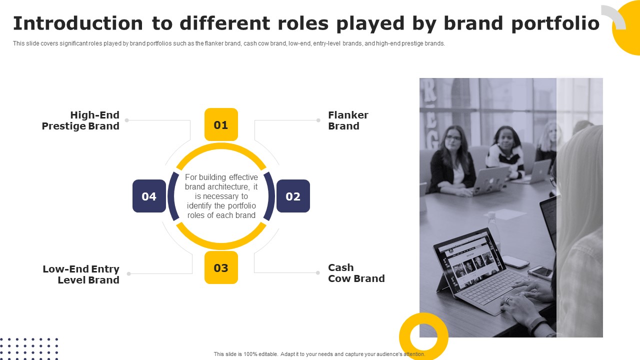 Streamlining Brand Portfolio Technique Introduction To Different Roles Played By Brand Portfolio Guidelines PDF