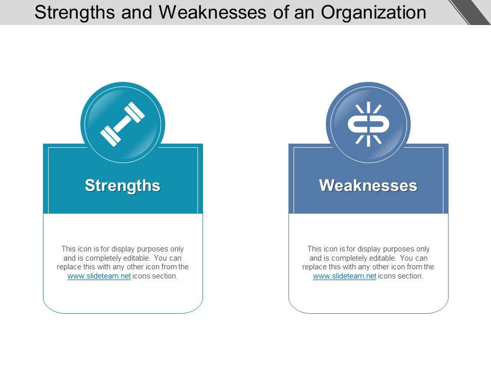 Strengths And Weaknesses Of An Organization Ppt PowerPoint Presentation Pictures Objects