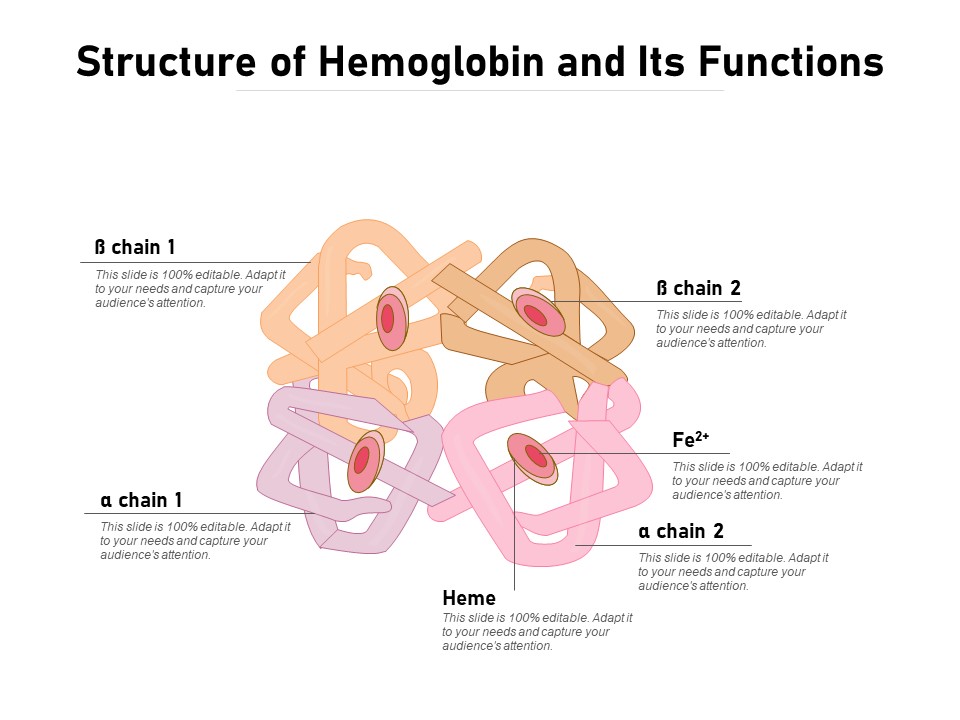 Structure Of Hemoglobin And Its Functions Ppt PowerPoint Presentation File Good PDF