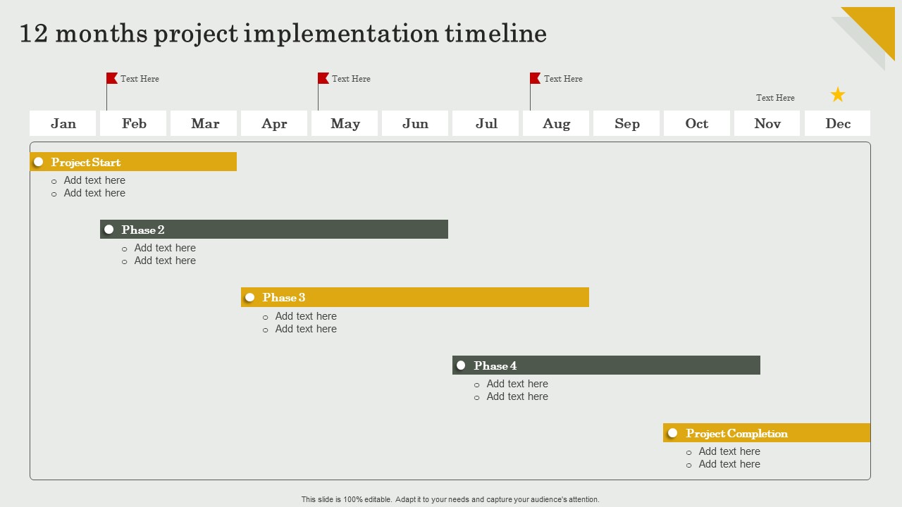 Submission Of Project Viability Report For Bank Loan 12 Months Project Implementation Timeline Slides PDF