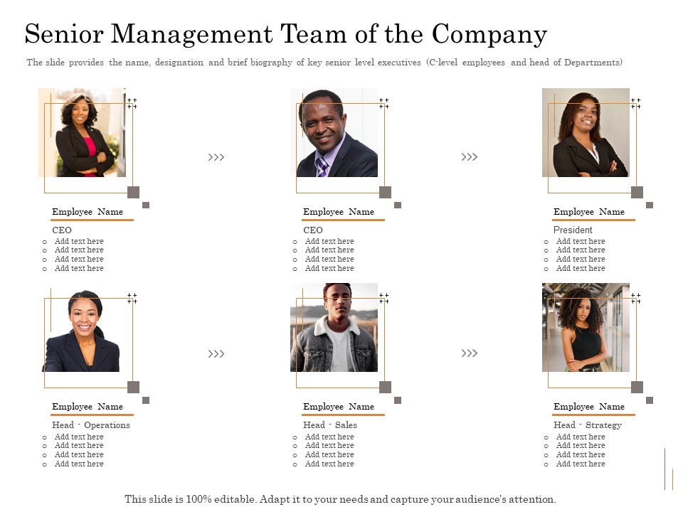 Subordinated Loan Funding Senior Management Team Of The Company Ppt Layouts Themes PDF