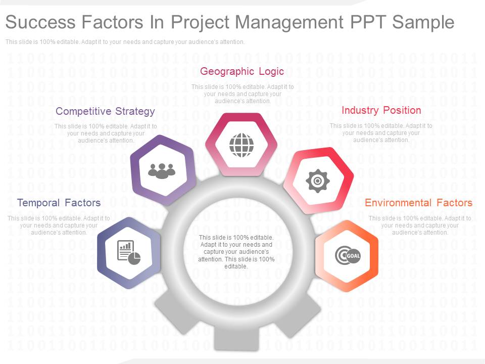 Success Factors In Project Management Ppt Sample