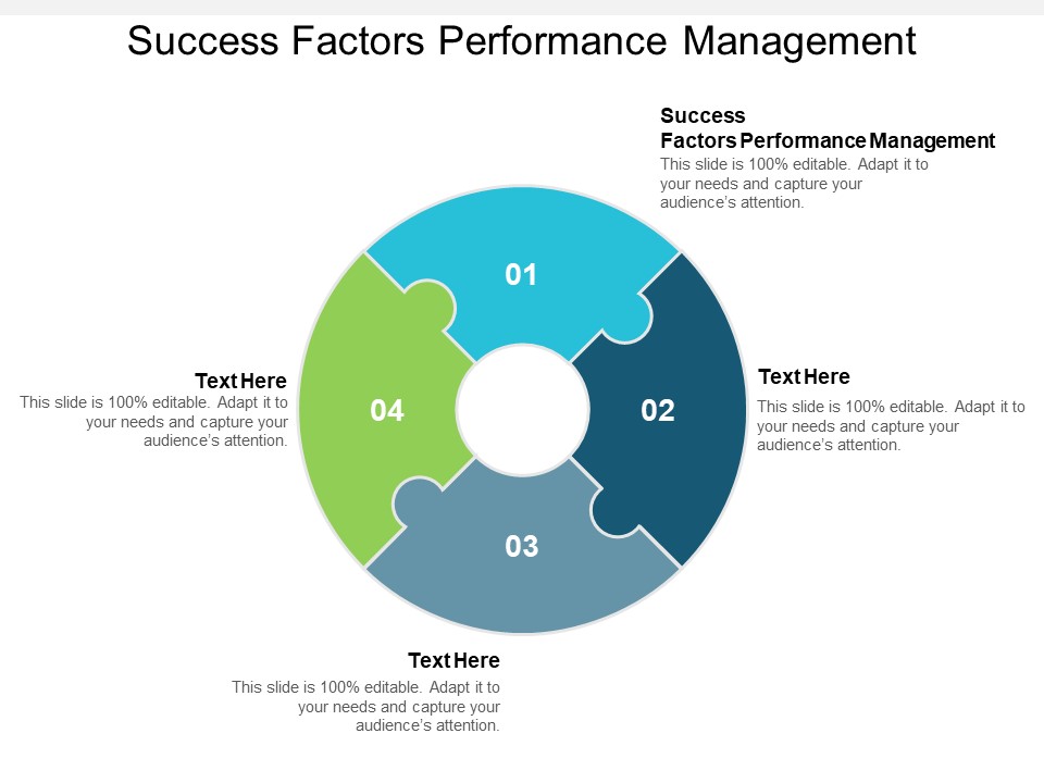 Success Factors Performance Management Ppt PowerPoint Presentation Portfolio Examples Cpb