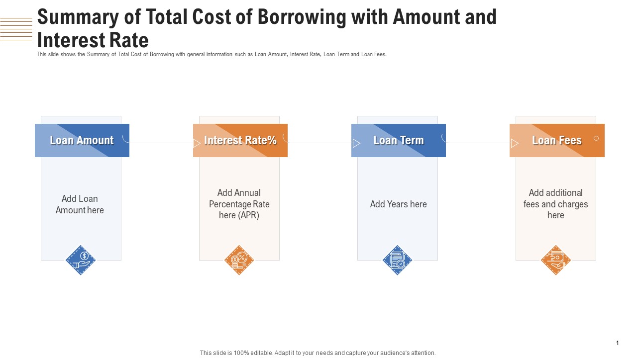 Summary Of Total Cost Of Borrowing With Amount And Interest Rate Ppt Outline Inspiration PDF