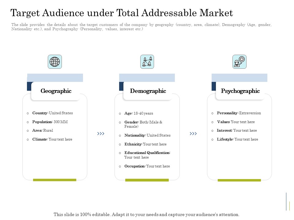 Supplementary Debt Financing Pitch Deck Target Audience Under Total Addressable Market Diagrams PDF