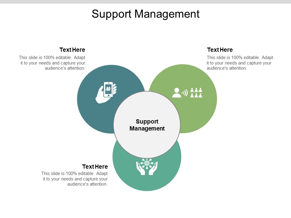 Support Management Ppt PowerPoint Presentation Model Professional Cpb