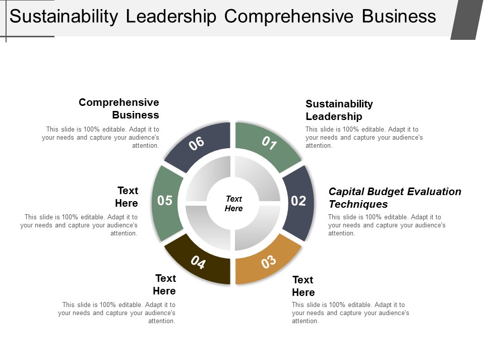 Sustainability Leadership Comprehensive Business Capital Budget Evaluation Techniques Ppt PowerPoint Presentation Portfolio Layouts