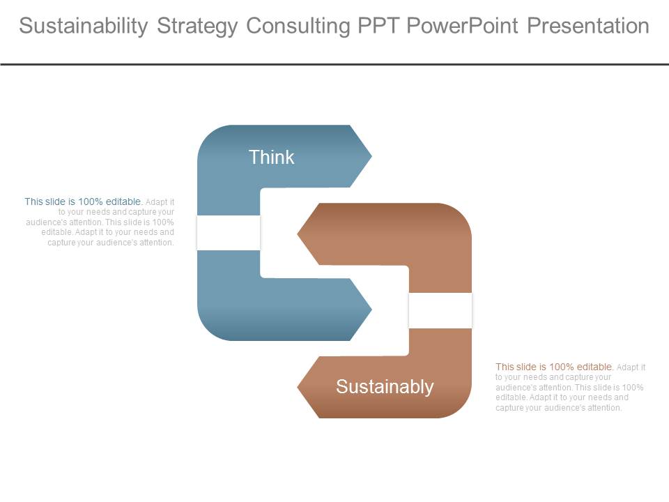 Sustainability Strategy Consulting Ppt Powerpoint Presentation