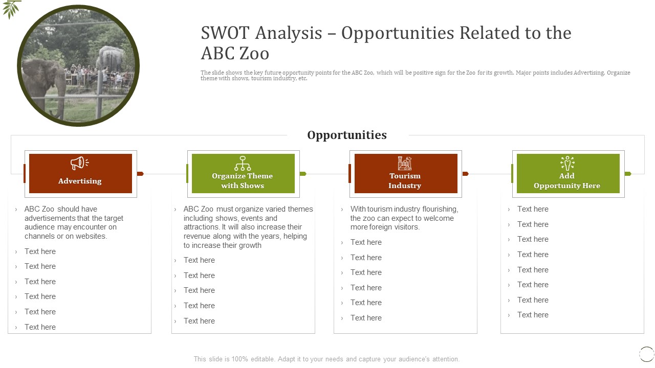 Swot Analysis Opportunities Related To The Abc Zoo Ppt Professional Infographic Template PDF