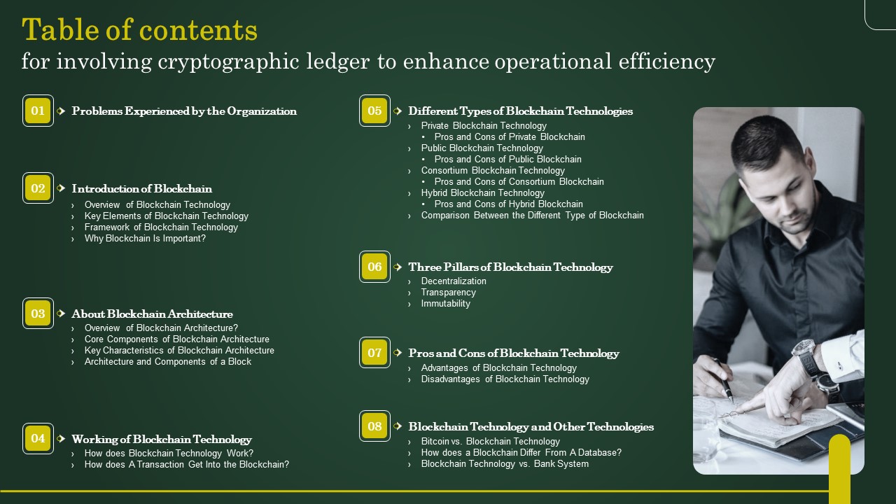 Table Of Contents For Involving Cryptographic Ledger To Enhance Operational Efficiency Elements PDF