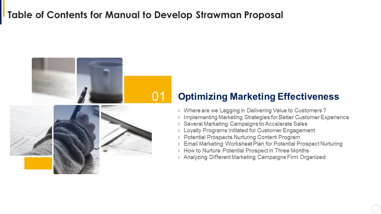 Table Of Contents For Manual To Develop Strawman Proposal Marketing Designs PDF
