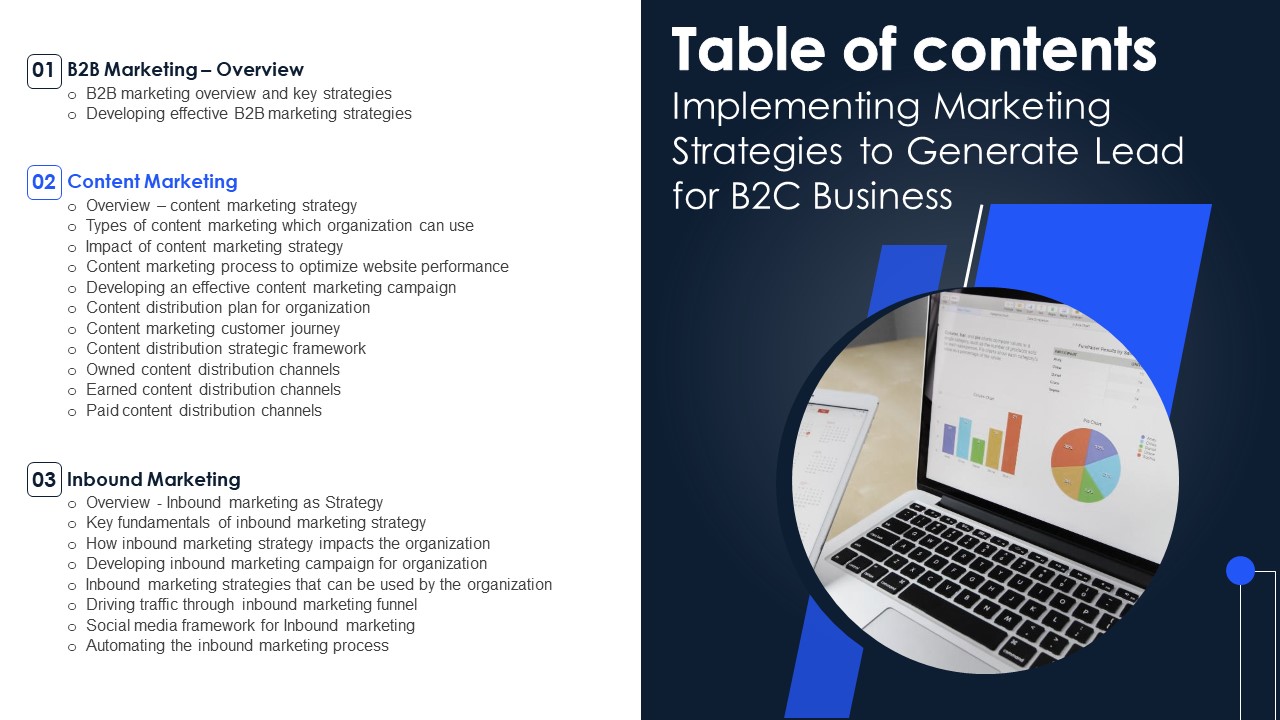 Table Of Contents Implementing Marketing Strategies To Generate Lead For B2C Business Mockup PDF