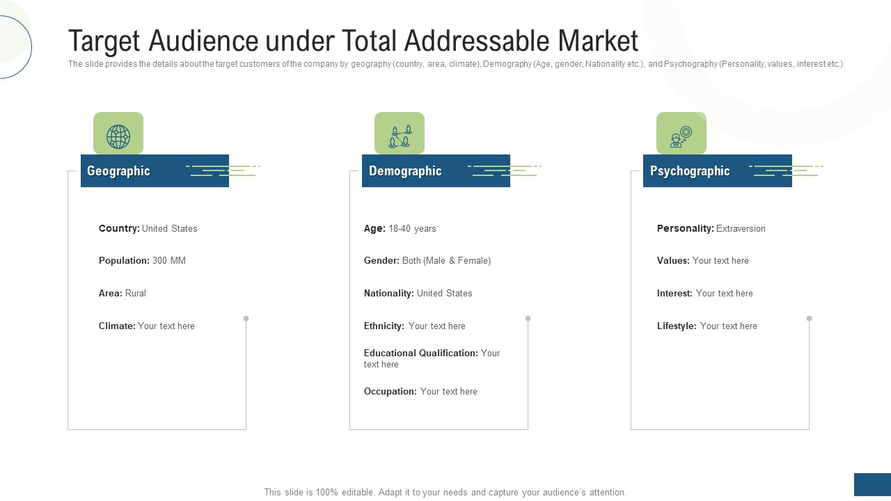 Target Audience Under Total Addressable Market Ppt File Graphics Template PDF