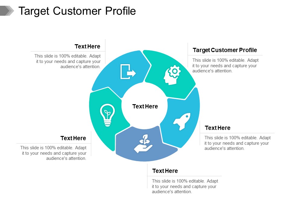 Target Customer Profile Ppt PowerPoint Presentation Portfolio Show Cpb Pdf