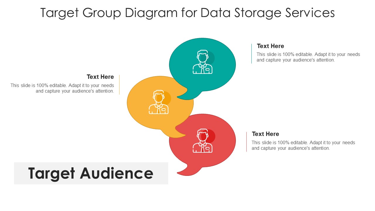 Target Group Diagram For Data Storage Services Ppt PowerPoint Presentation Gallery Graphics Tutorials PDF