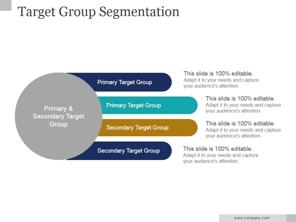Target Group Segmentation Ppt PowerPoint Presentation Visual Aids