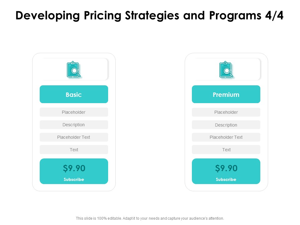 Target Market Strategy Developing Pricing Strategies And Programs Premium Ppt Outline Show PDF