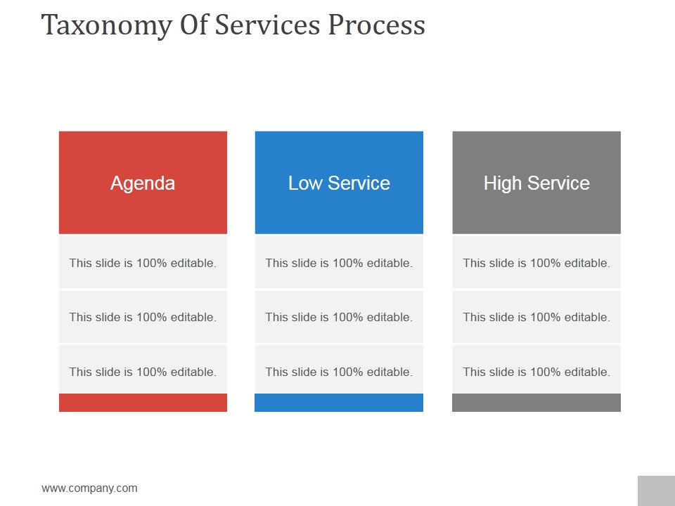 Taxonomy Of Service Process Ppt PowerPoint Presentation Slides