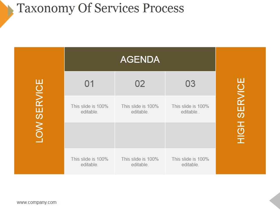 Taxonomy Of Services Process Ppt PowerPoint Presentation Icon Template