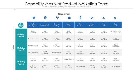Team Capability Matrix For Product Development Ppt Slides Design Ideas PDF