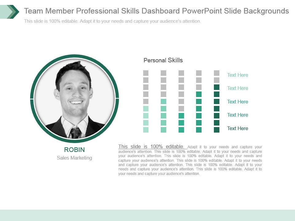 Team Member Professional Skills Dashboard Powerpoint Slide Backgrounds
