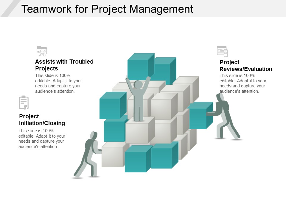 Teamwork For Project Management Ppt PowerPoint Presentation Pictures Diagrams