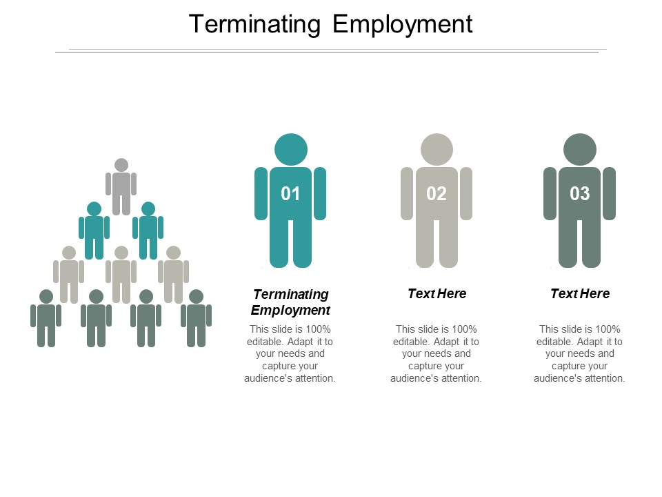 Terminating Employment Ppt PowerPoint Presentation Layouts Designs Cpb