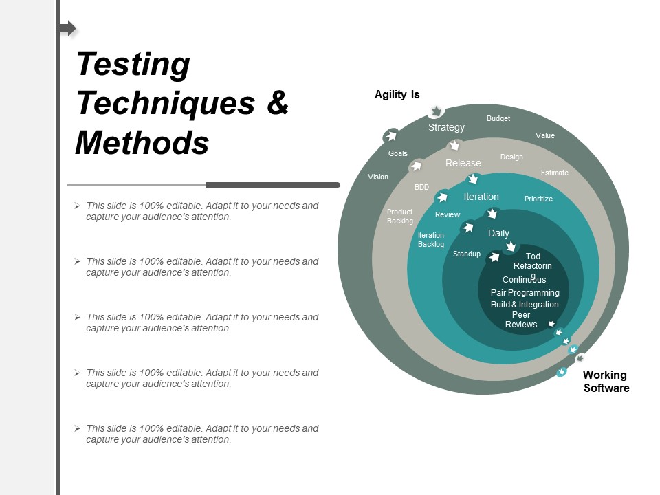 Testing Techniques And Methods Ppt PowerPoint Presentation Infographic Template Themes