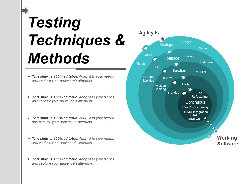 Testing Techniques And Methods Ppt PowerPoint Presentation Styles Designs