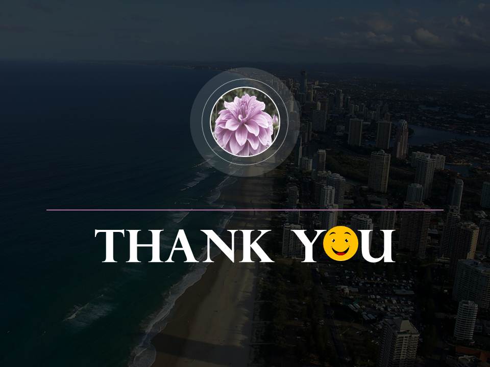 Thank You Ppt Slides
