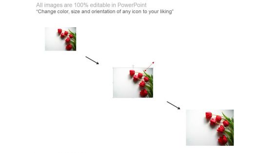 Thank You Slide With Red Flowers Powerpoint Slides