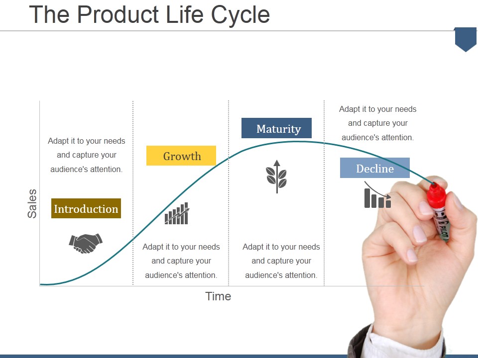 The Product Life Cycle Ppt PowerPoint Presentation Summary Slideshow