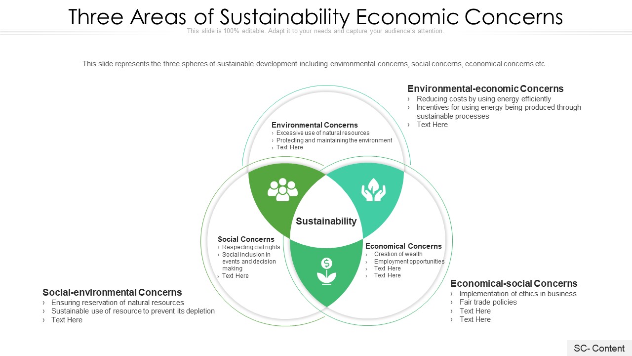 Three Areas Of Sustainability Economic Concerns Ppt PowerPoint Presentation File Formats PDF