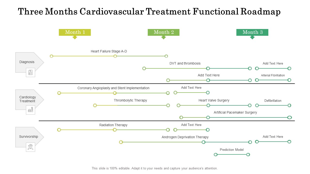 Three Months Cardiovascular Treatment Functional Roadmap Graphics