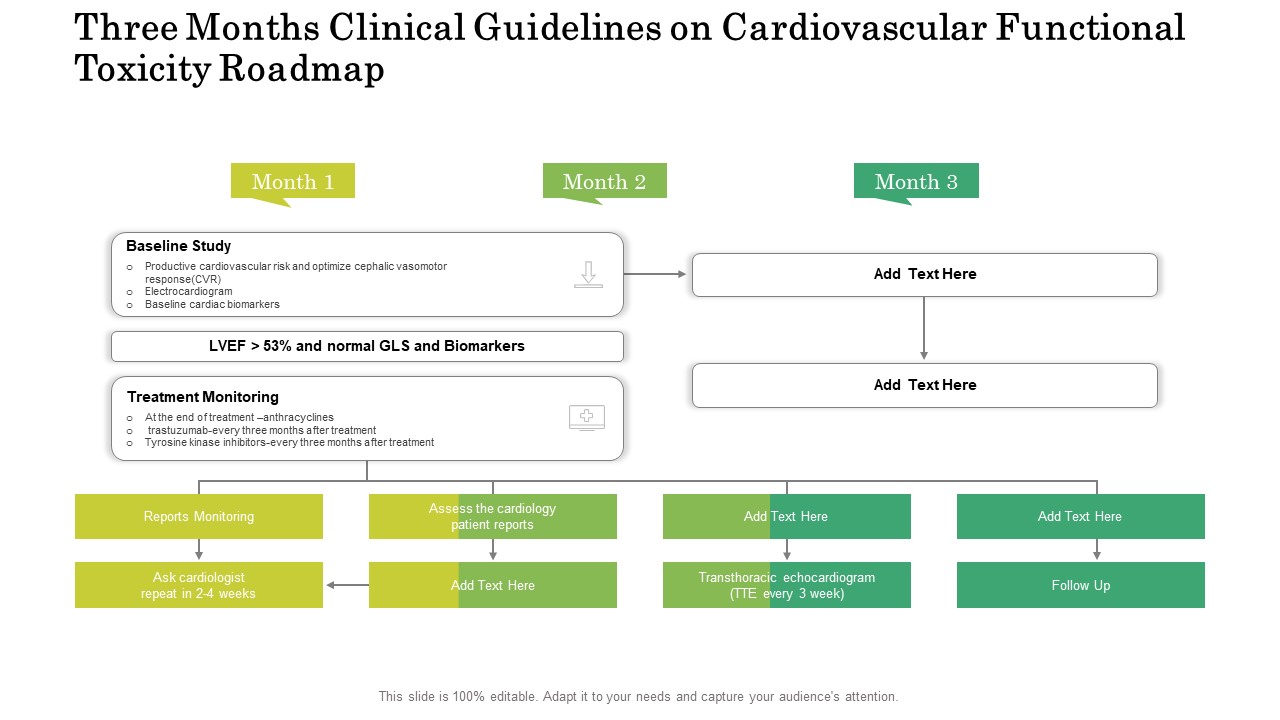 Three Months Clinical Guidelines On Cardiovascular Functional Toxicity Roadmap Background
