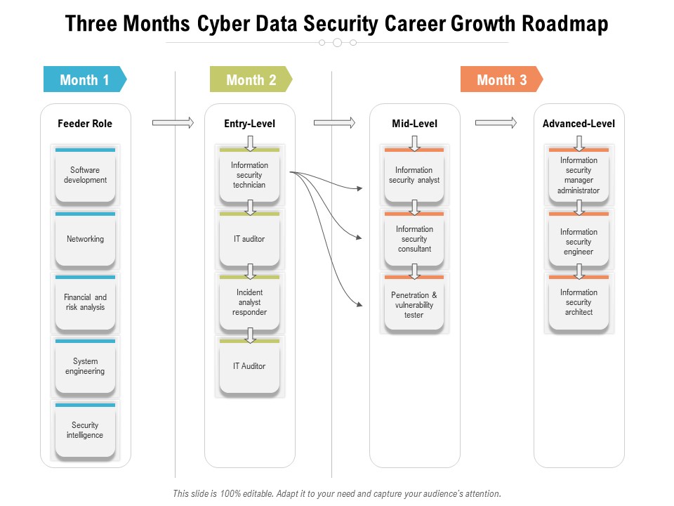 Three Months Cyber Data Security Career Growth Roadmap Diagrams