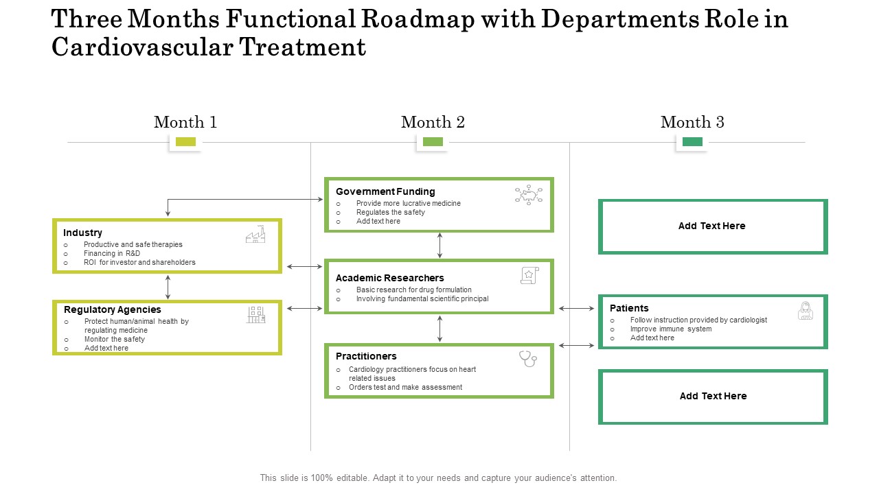 Three Months Functional Roadmap With Departments Role In Cardiovascular Treatment Graphics