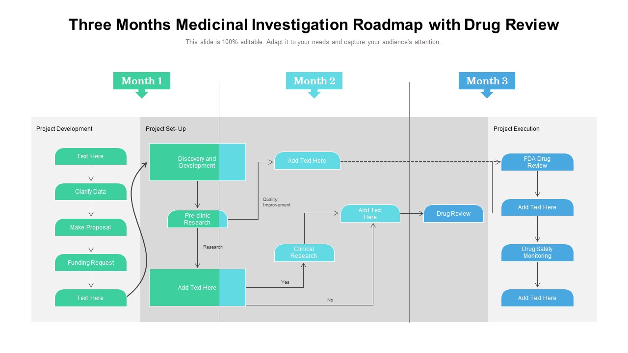 Three Months Medicinal Investigation Roadmap With Drug Review Portrait