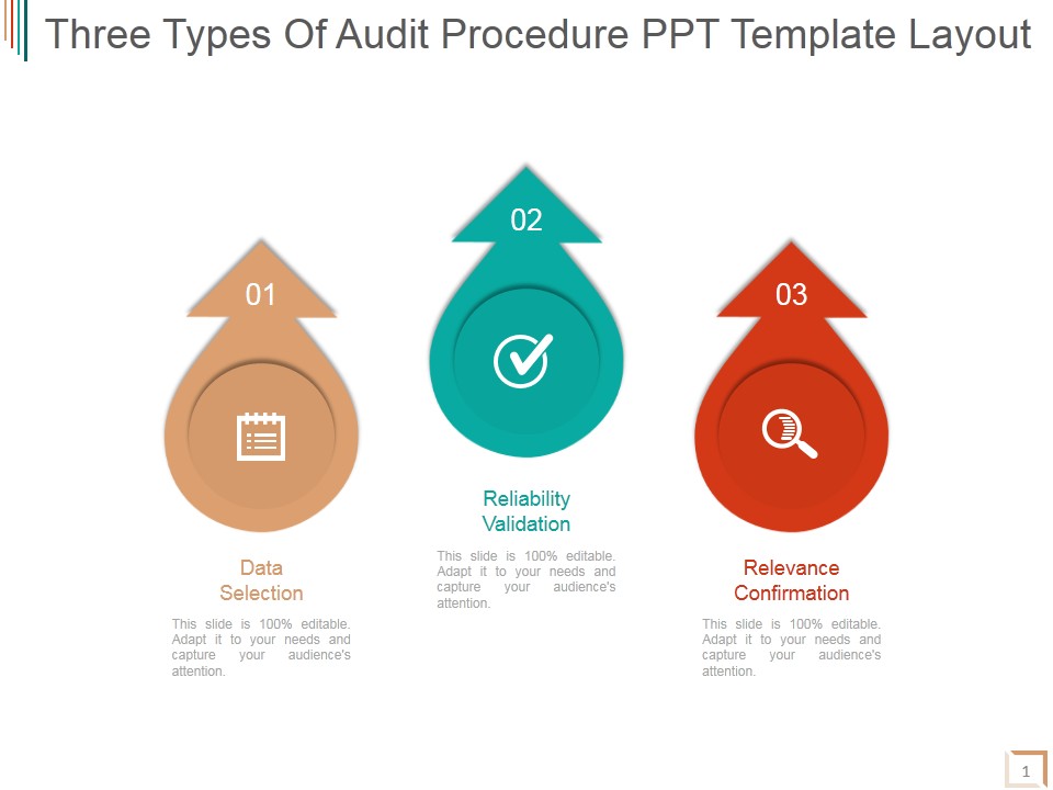 Three Types Of Audit Procedure Ppt PowerPoint Presentation Gallery