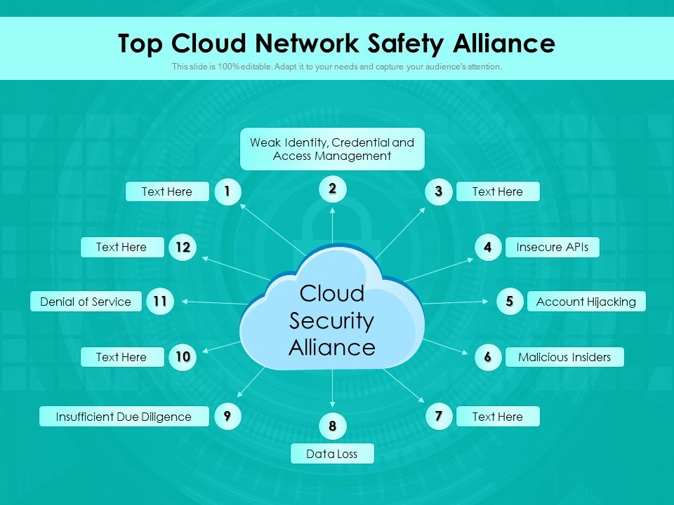 Top Cloud Network Safety Alliance Ppt PowerPoint Presentation Gallery File Formats PDF