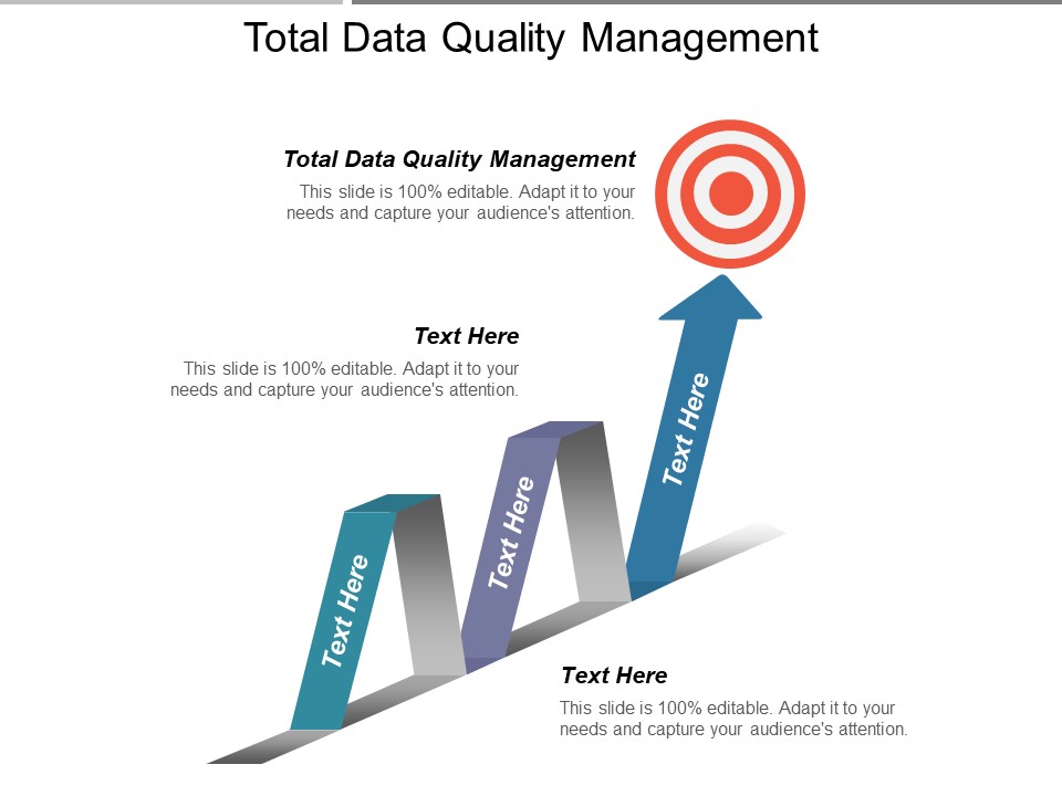 Total Data Quality Management Ppt PowerPoint Presentation Slides Good