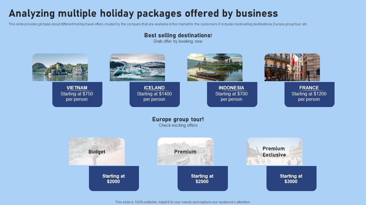 Tour And Travel Agency Marketing Analyzing Multiple Holiday Packages Offered By Summary PDF