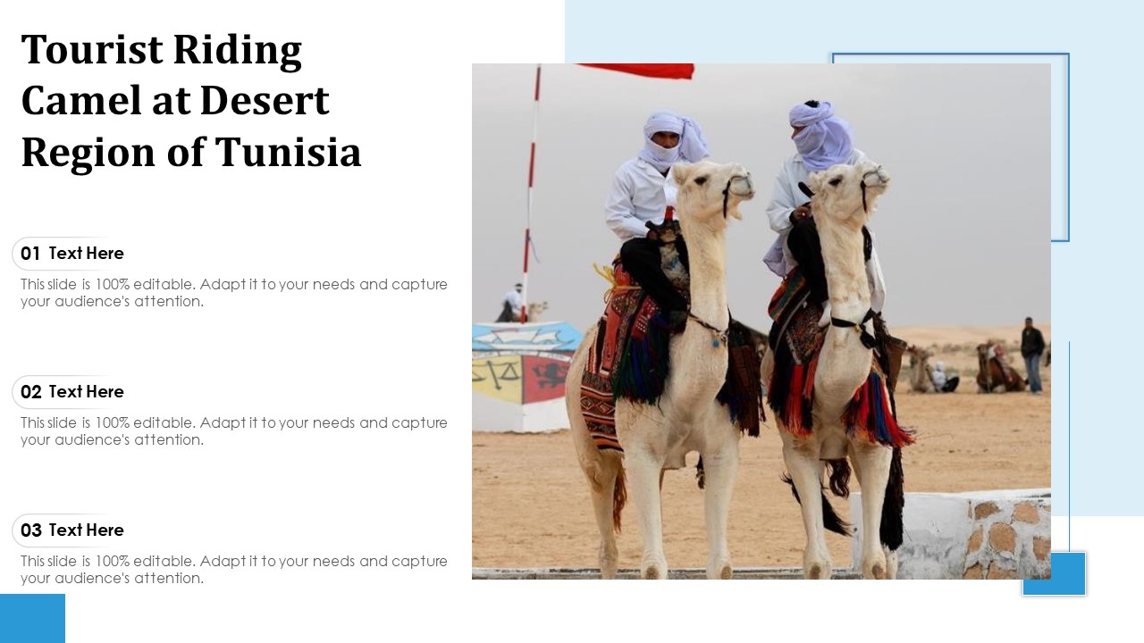 Tourist Riding Camel At Desert Region Of Tunisia Ppt PowerPoint Presentation Gallery Ideas PDF